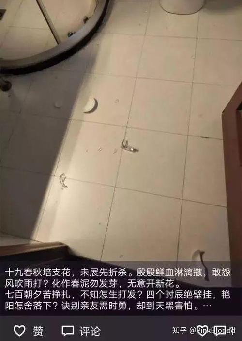 南非驻法大使跳楼前发诀别短信