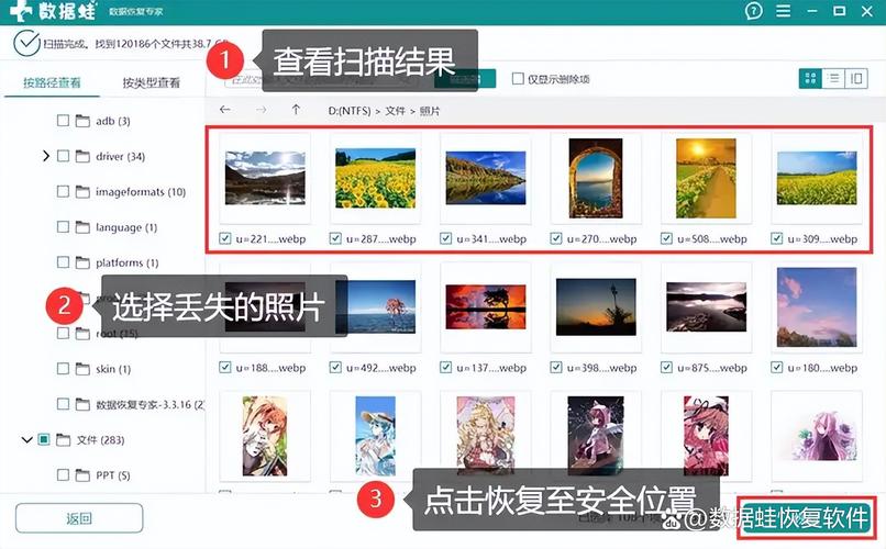 电脑照片如何恢复