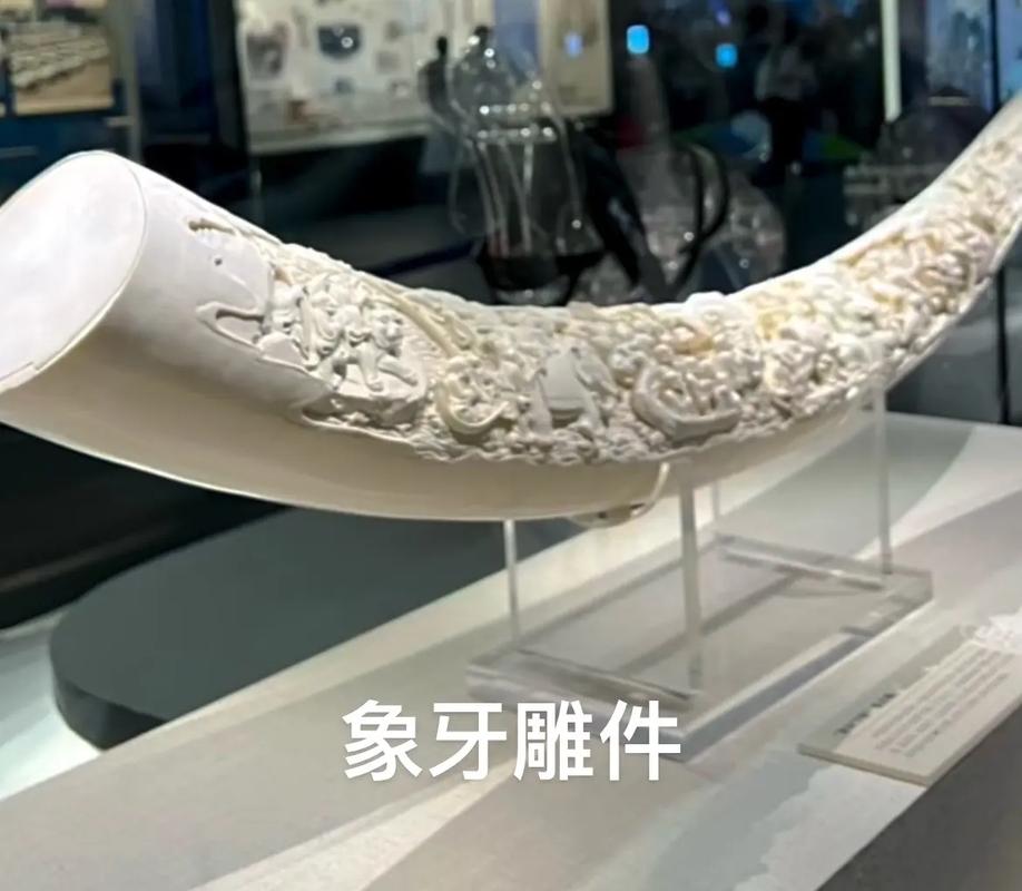 北京海关查获疑似象牙手镯8件