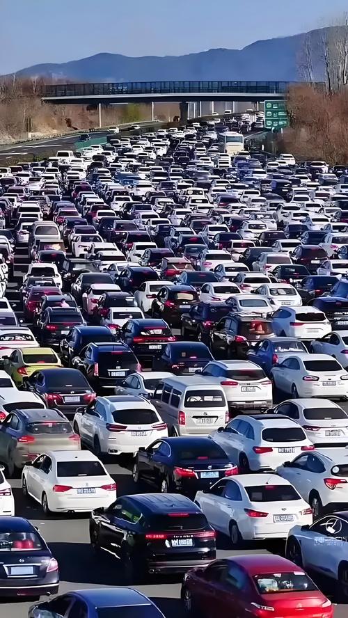 高速堵车原因竟是路面撒满活鱼