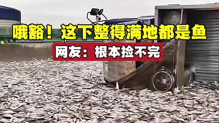 高速堵车原因竟是路面撒满活鱼