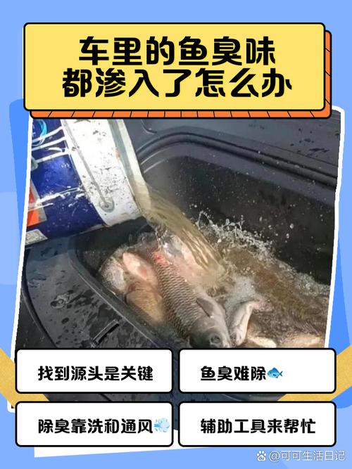 高速堵车原因竟是路面撒满活鱼