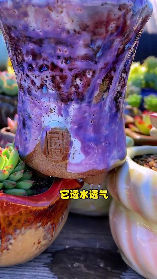 被秋老虎“硬控”了