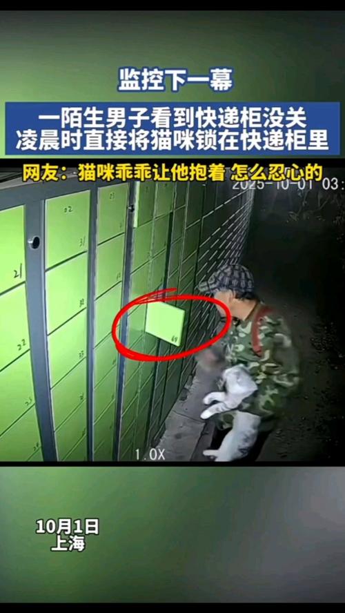 男子将猫关进快递柜转身就走
