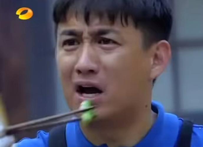 黄磊首次回应未熟豆角食物中毒争议