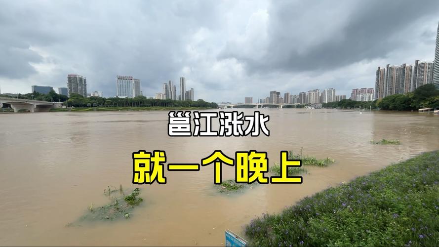 南宁邕江水位上涨 江面与路面持平