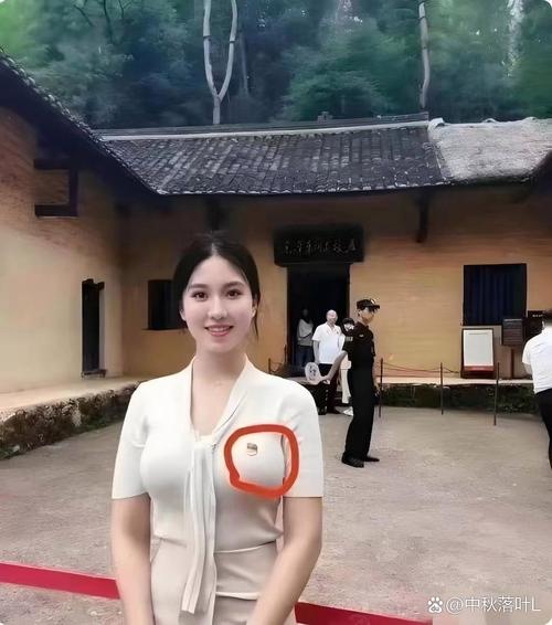 叶元之“女贵人”穿民进党背心被批