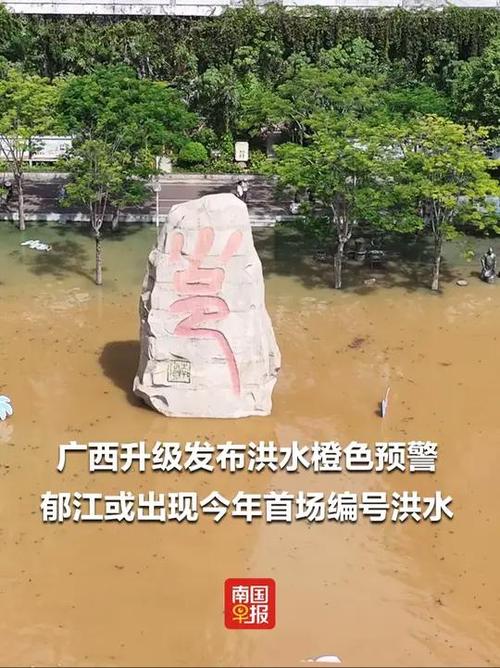 广西贵港郁江河段明显涨水