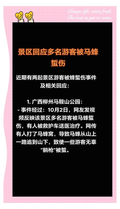 雁门关景区辟谣“游客1死2伤”