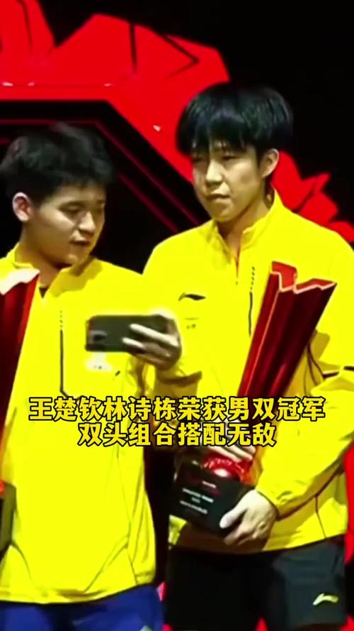 王楚钦林诗栋男双夺冠