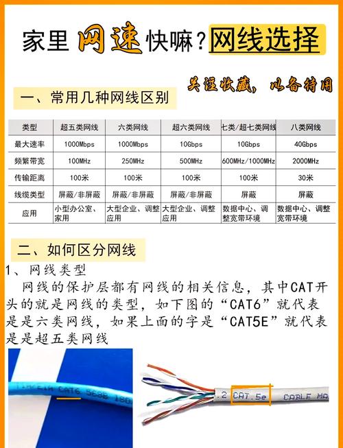 电脑如何看网速