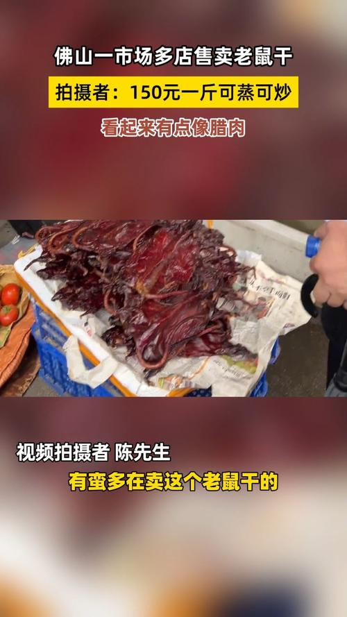 广州一市民家中惊现“鼠条”