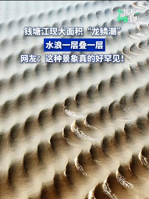 钱塘江现大面积“龙鳞潮”