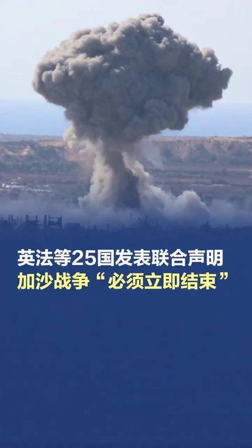 八国外长重申立即结束加沙战争