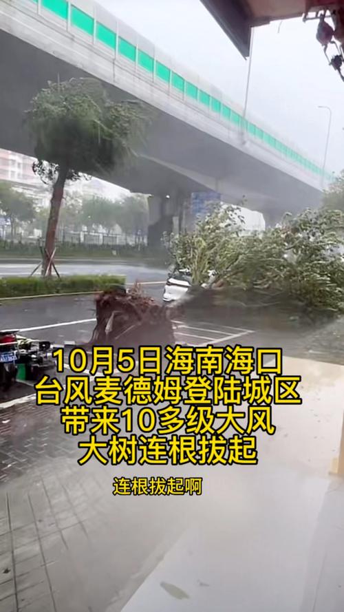 麦德姆登陆 狂风暴雨中树木猛摇