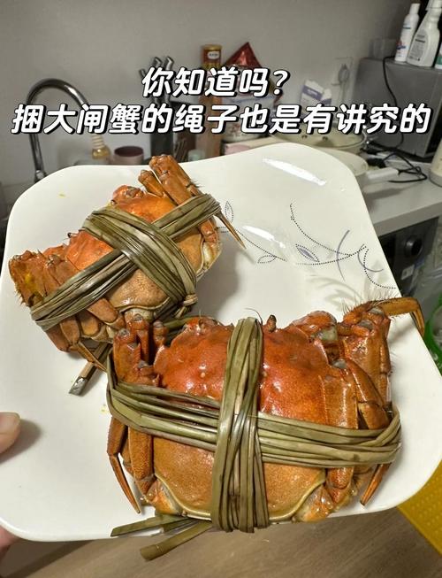 5两的大闸蟹捆了1两的绳子