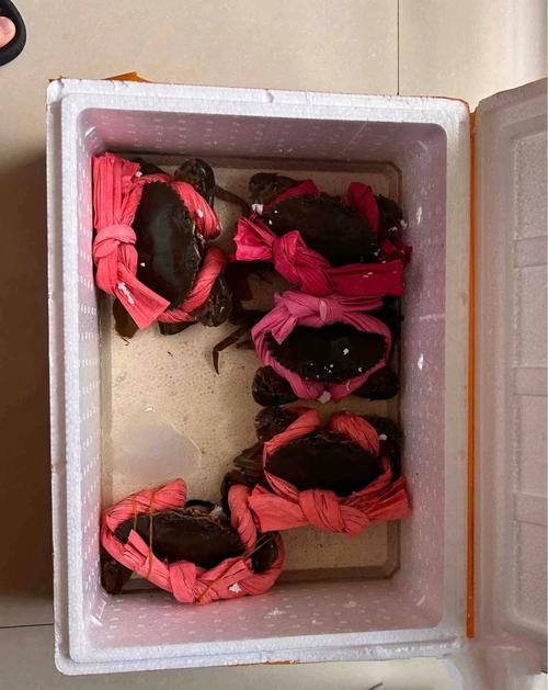 5两的大闸蟹捆了1两的绳子