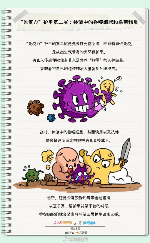 他们找到了免疫系统的“安全卫士”
