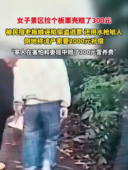 景区回应游客捡板栗壳被说成偷东西