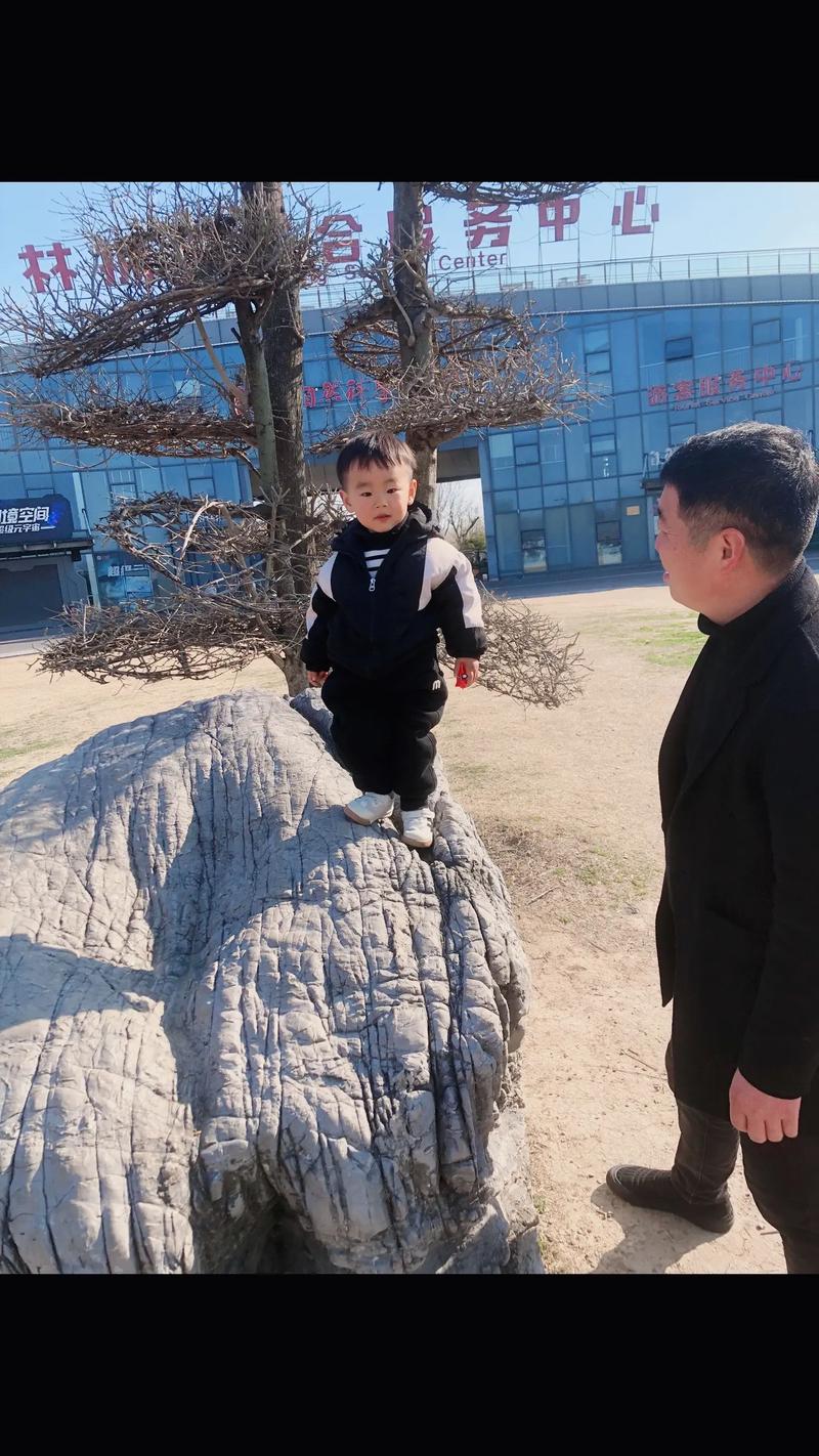 男子假期带3岁孙子推100岁爷爷遛弯