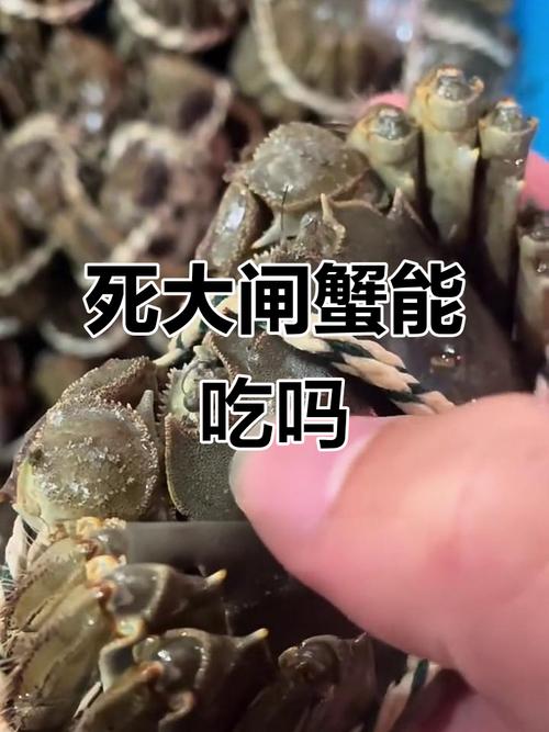 刚死不久的螃蟹能吃吗