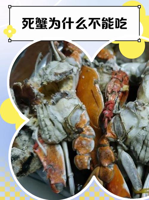 刚死不久的螃蟹能吃吗