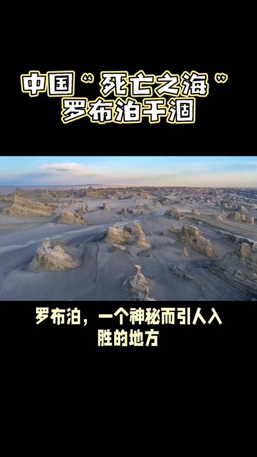 中国征服“死亡之海”