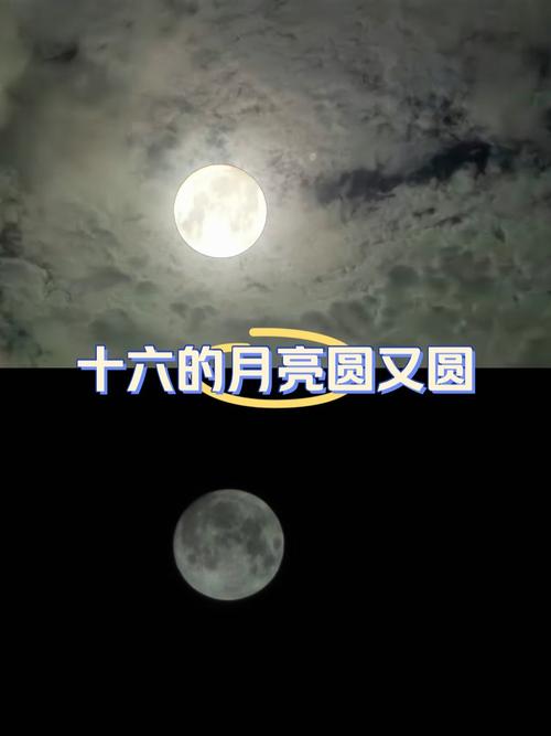 十六的月亮圆了
