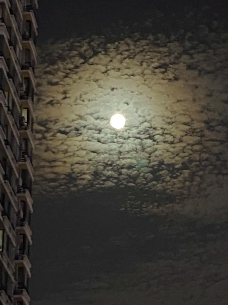 十六的月亮圆了