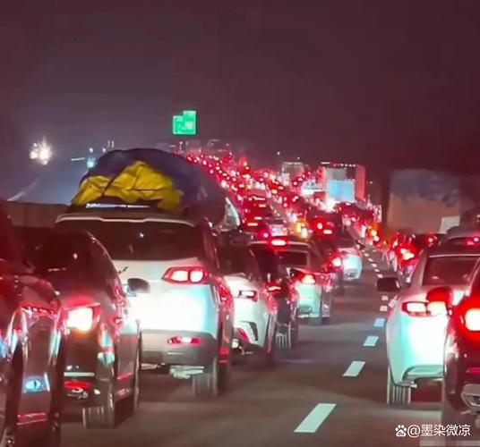 中国人放假 东非大草原都堵车了