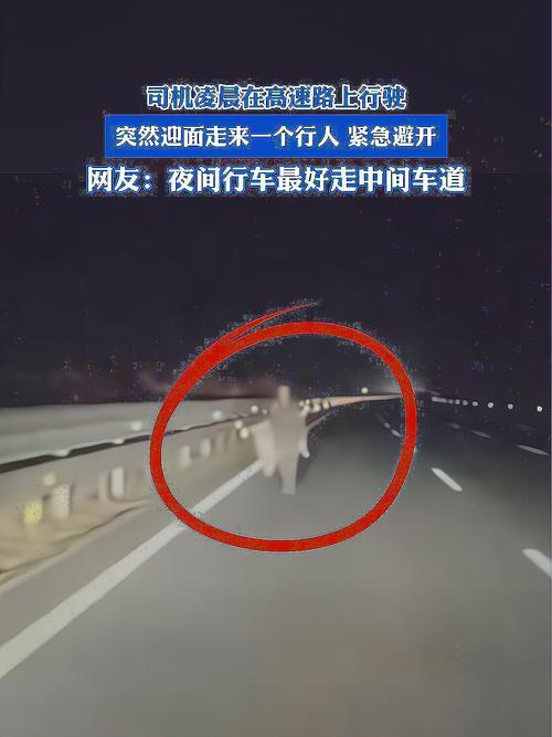 夜间高速突然冒出一人 司机吓到尖叫