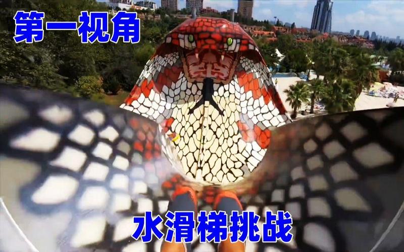 游客景区玩滑梯时 有蛇“从天而降”