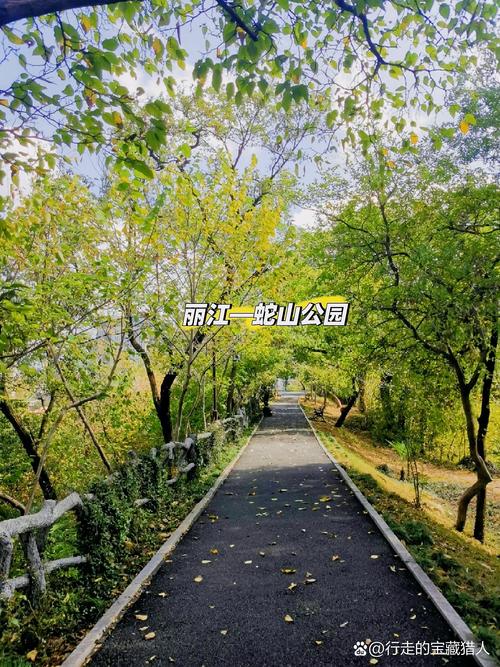 游客景区玩滑梯时 有蛇“从天而降”