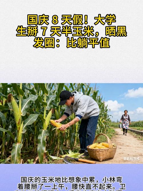 大学生国庆8天假掰了7天半玉米