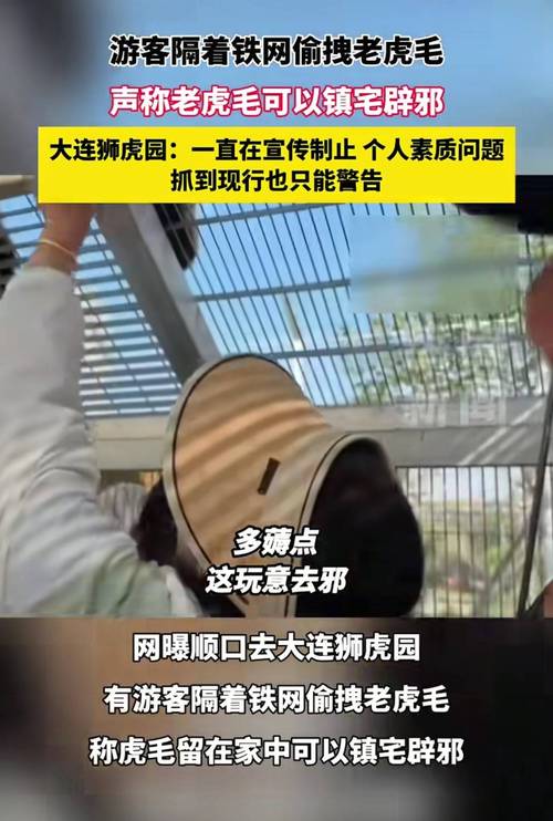 观光车压碎老虎下巴?动物园回应