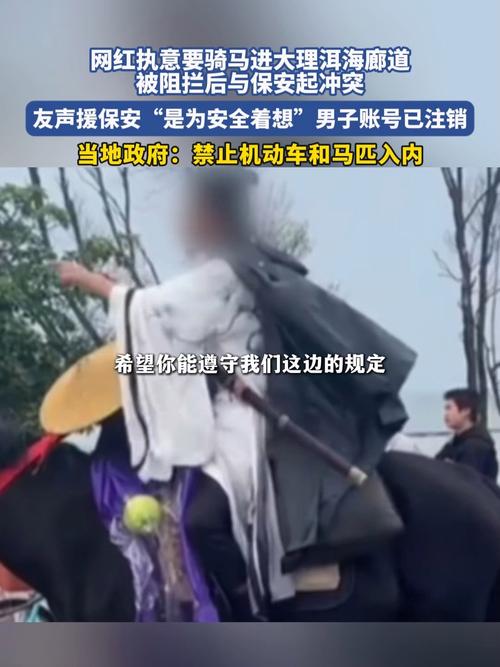 男子骑马在大理洱海与保安起冲突