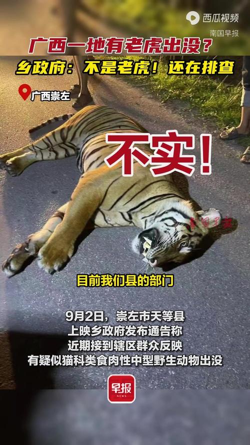 贵州金沙路边有老虎出没系谣言