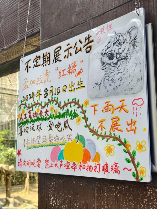 贵州金沙路边有老虎出没系谣言