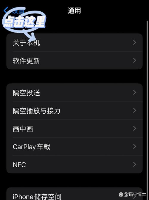 苹果手机如何知道是不是4g手机