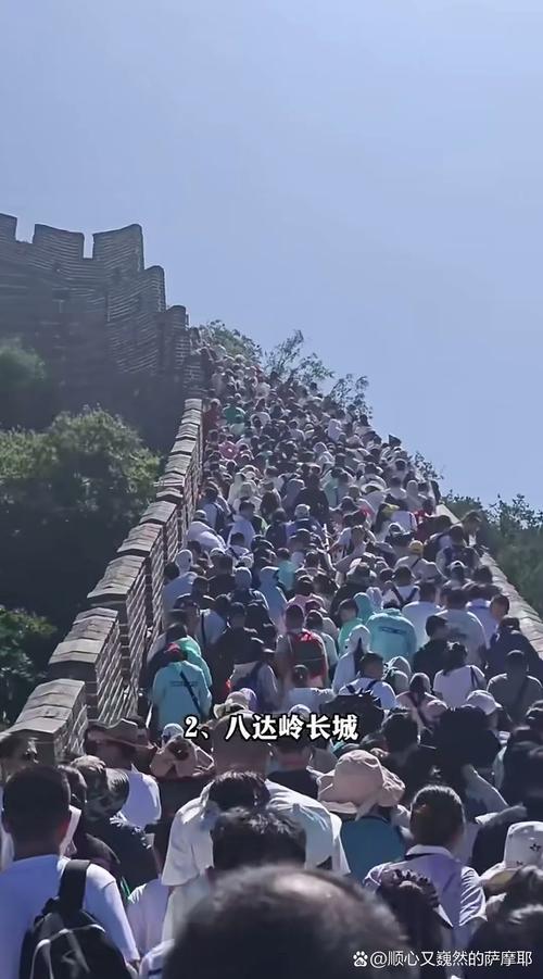 长假一群人带着绿豆游遍祖国