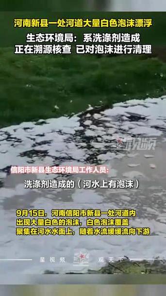 洛阳一水库漂满垃圾 系饮用水源地