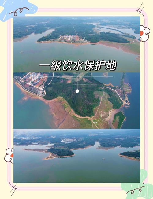 洛阳一水库漂满垃圾 系饮用水源地
