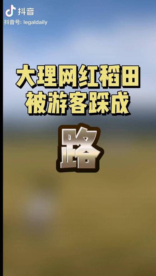 大理网红稻田遭游客大面积踩踏