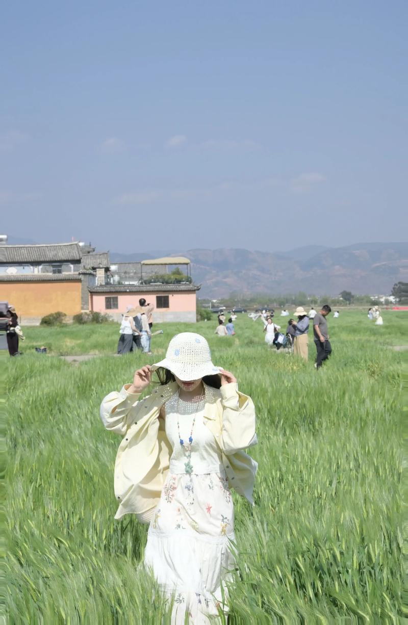 大理网红稻田遭游客大面积踩踏