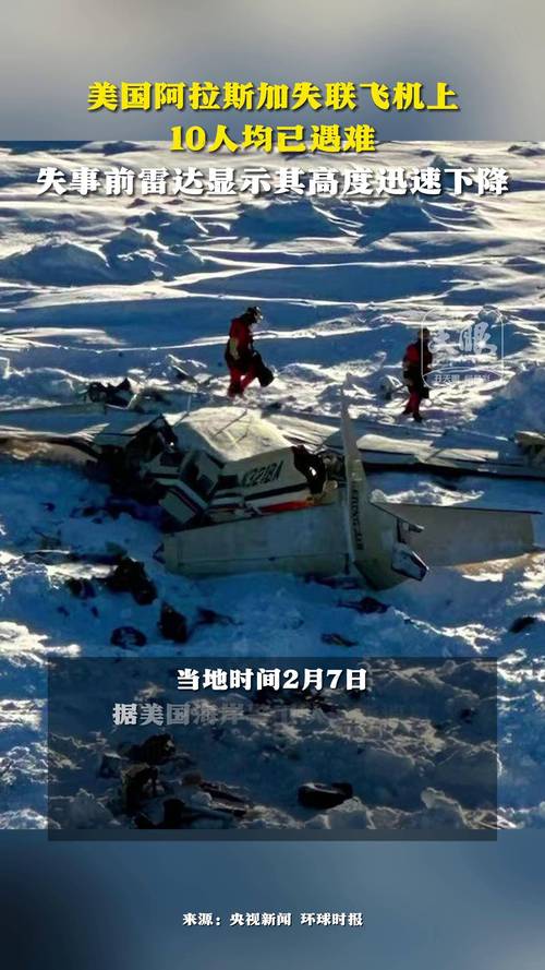 普京谈阿航客机失事事件