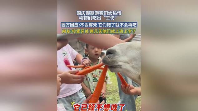 假期动物园内动物已吃出“工伤”