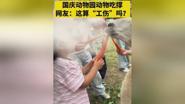 假期动物园内动物已吃出“工伤”