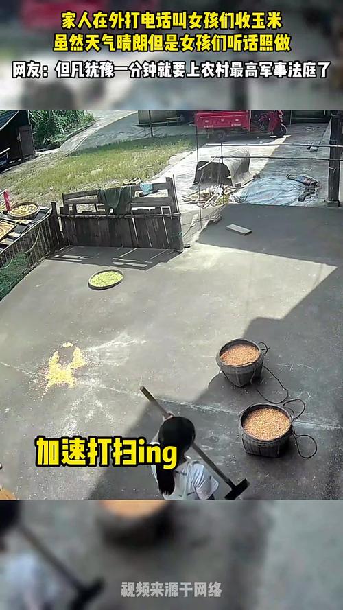 下雨天女儿请吊车帮父母收玉米