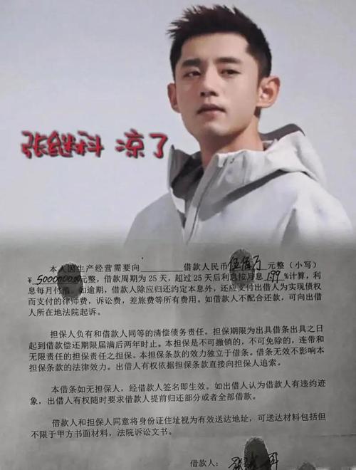 张继科回应带货争议