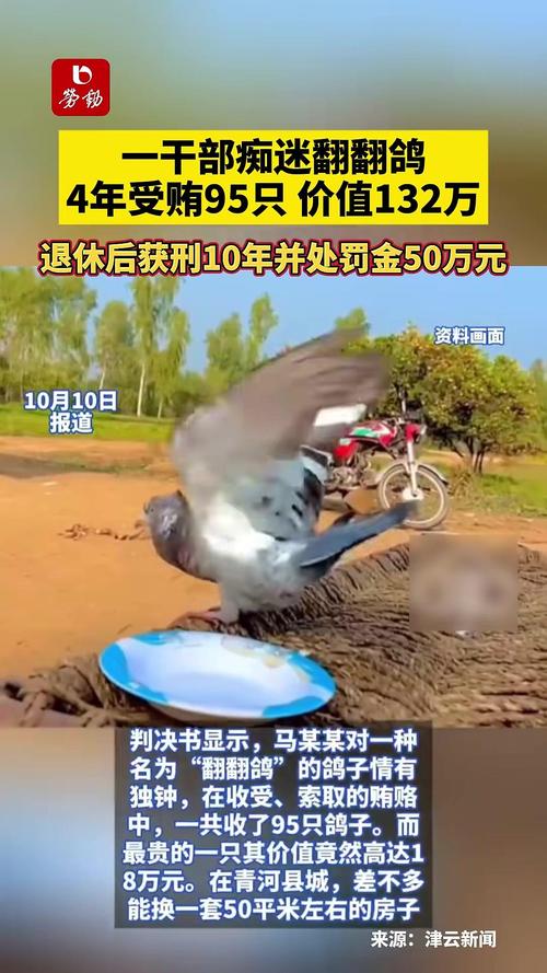 干部痴迷“翻翻鸽”4年受贿95只